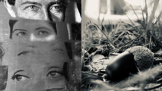 Les premières STMG dévoilent le merveilleux caché dans les détails.